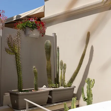 Pensión Casaforno1638